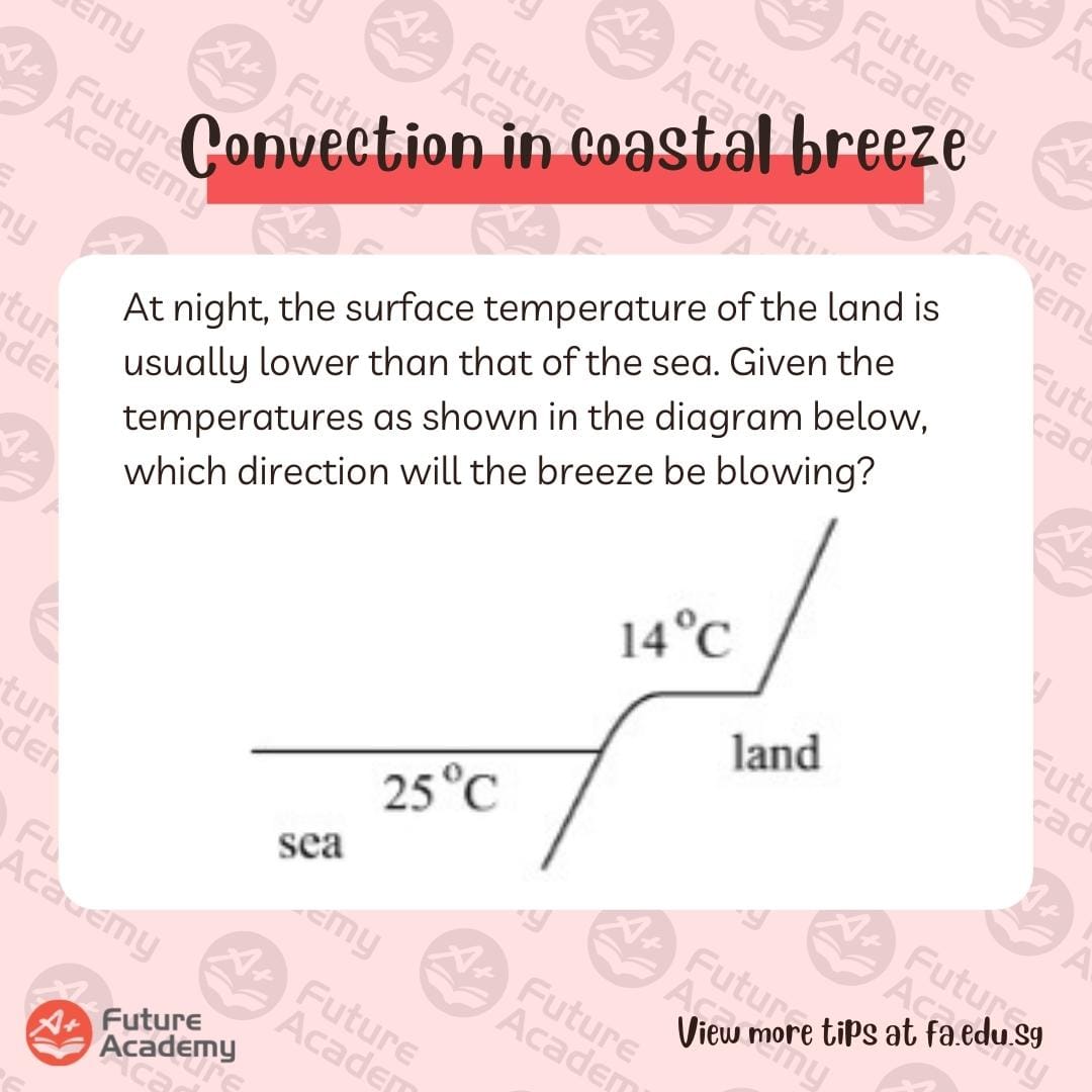 coastal-breeze-example