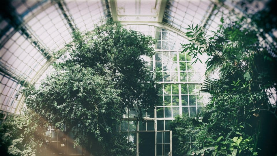 Conduction, Convection, Radiation: Applications And Examples 5