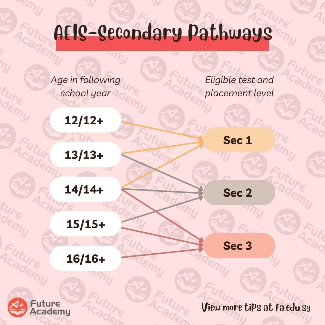 AEIS For Expats In SG: Updates To The Application Process (2022) 3