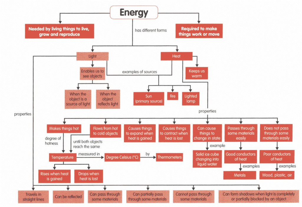 See How A Top Tuition Centre Prepares Students For EOY Exams 3