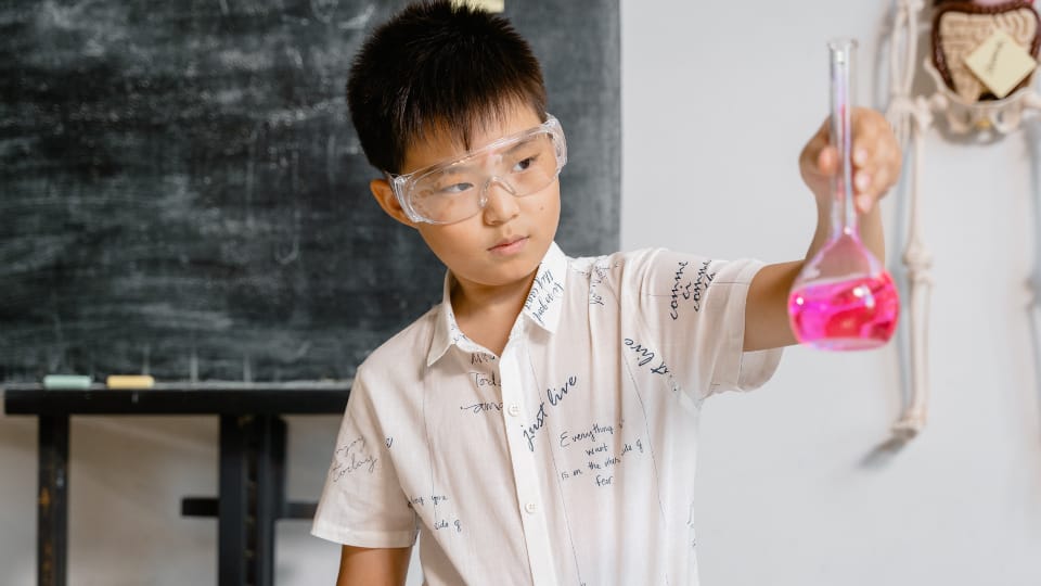 Parent's Guide To The Integrated Programme: What To Expect 2