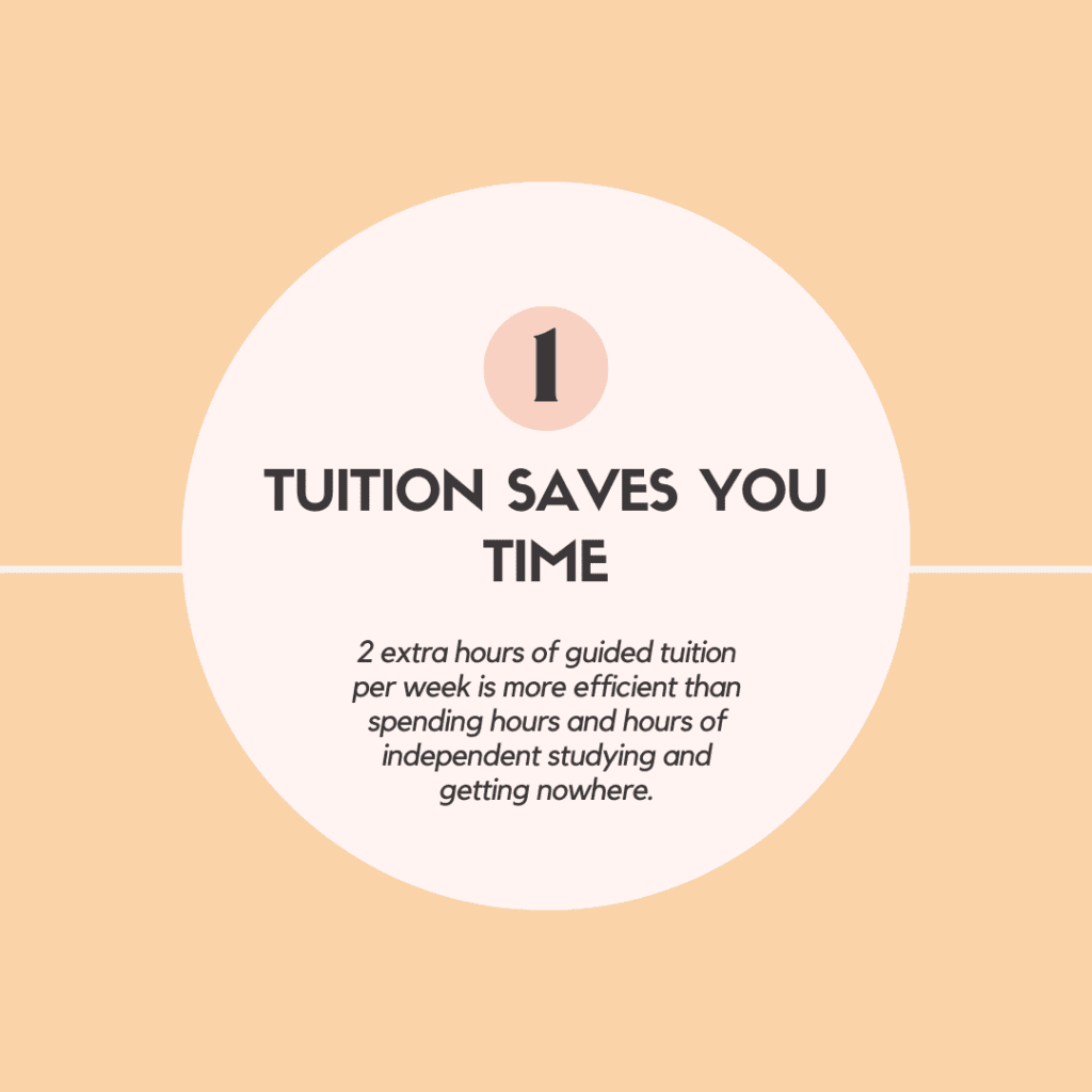 How IP Tuition Can Help You (Besides Pull Up Your Grades) 2