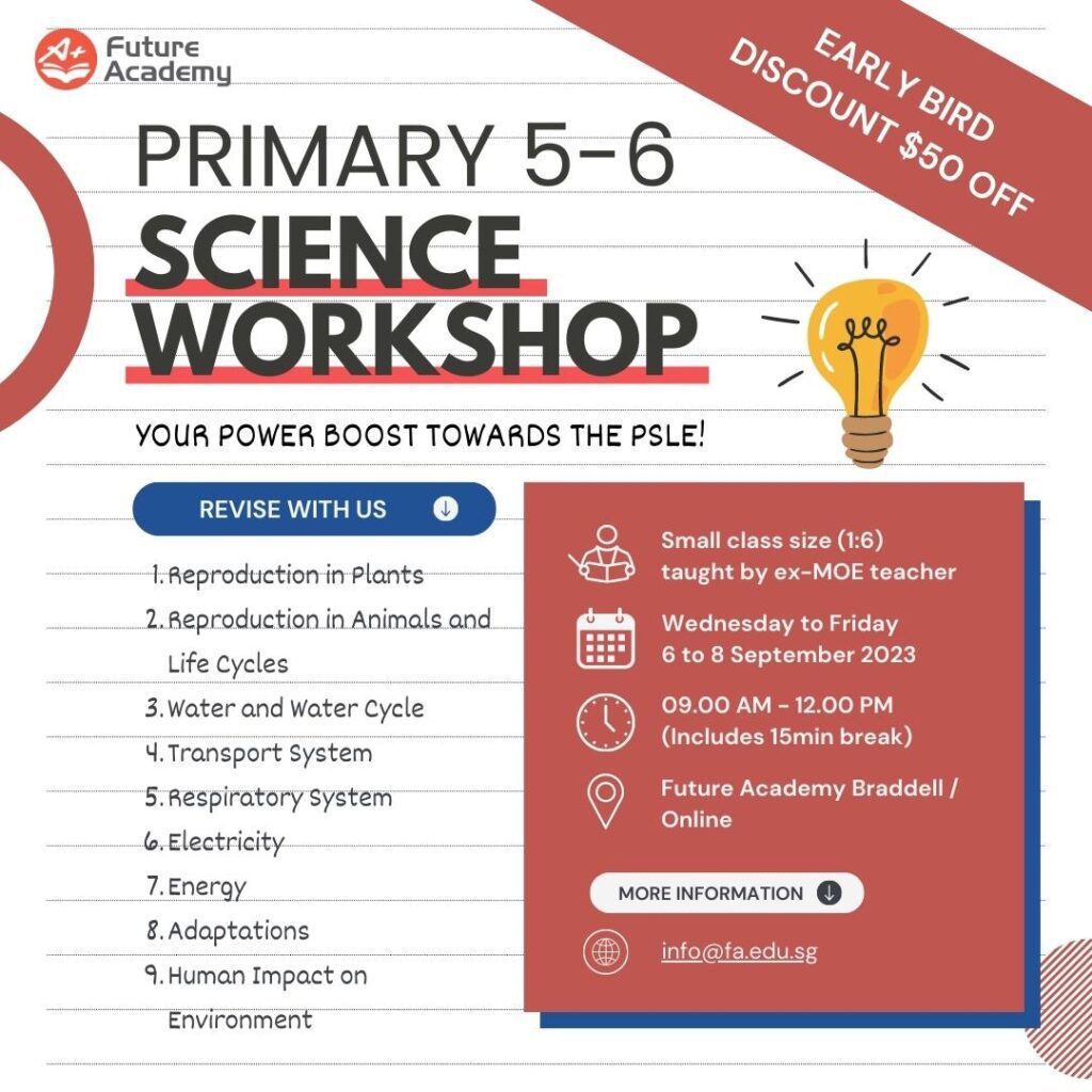 PSLE Power Boost: September Holiday Workshops (2023) 3