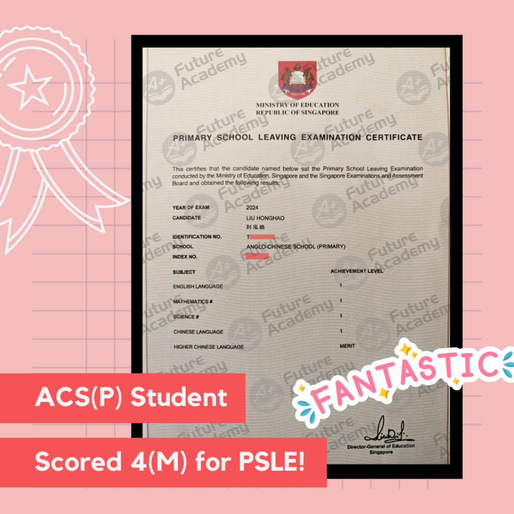 PSLE 2024: Celebrating Our Students' Excellent Results 2