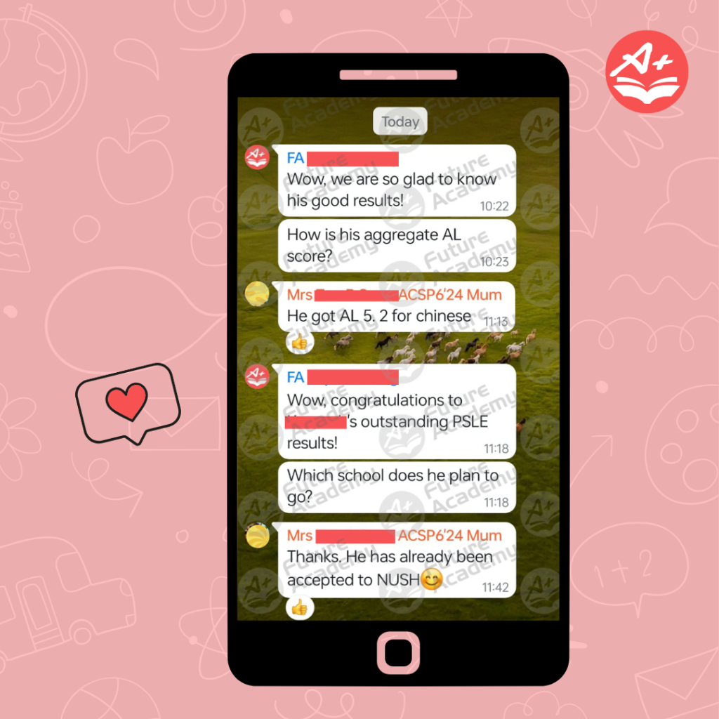 PSLE 2024: Celebrating Our Students' Excellent Results 3