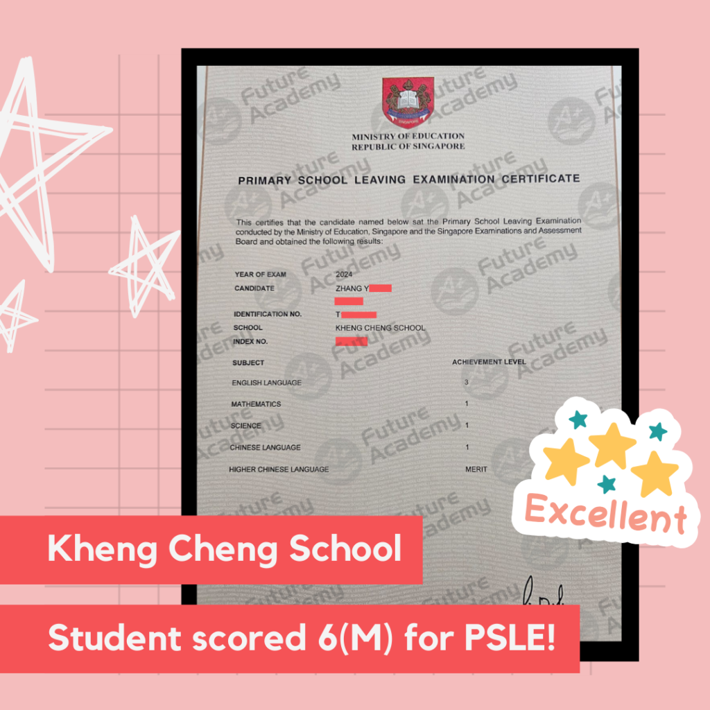PSLE 2024: Celebrating Our Students' Excellent Results 4