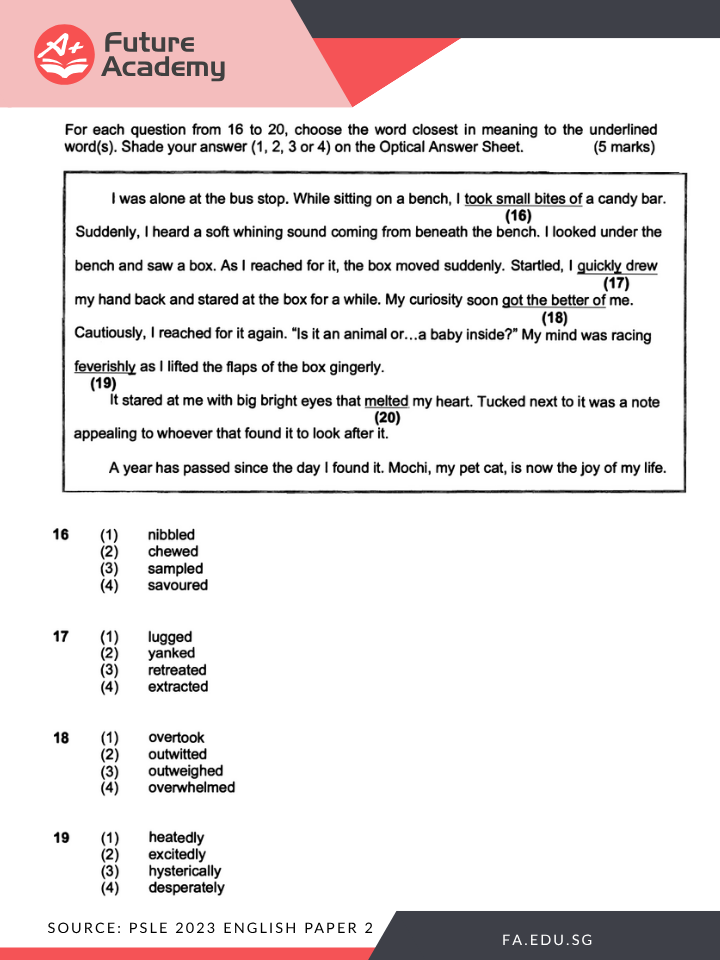 PSLE Tutor's Tips For Conquering The English Vocab Cloze 2