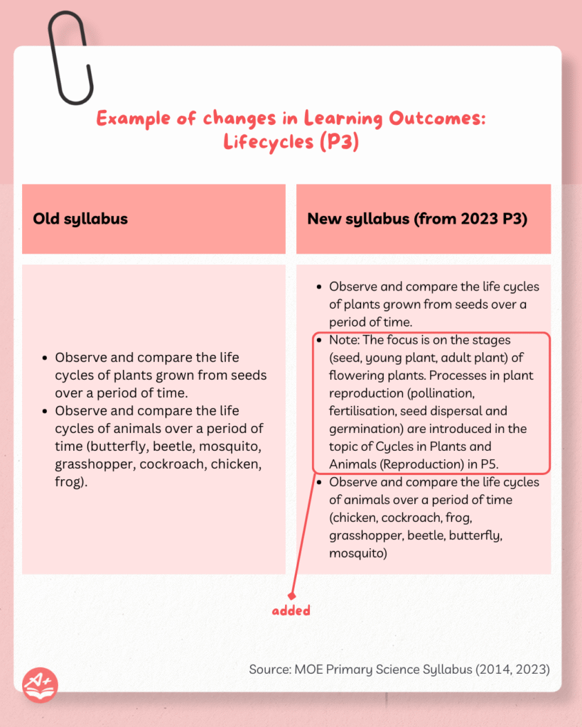 PSLE Science Syllabus: Updates and Changes From 2026