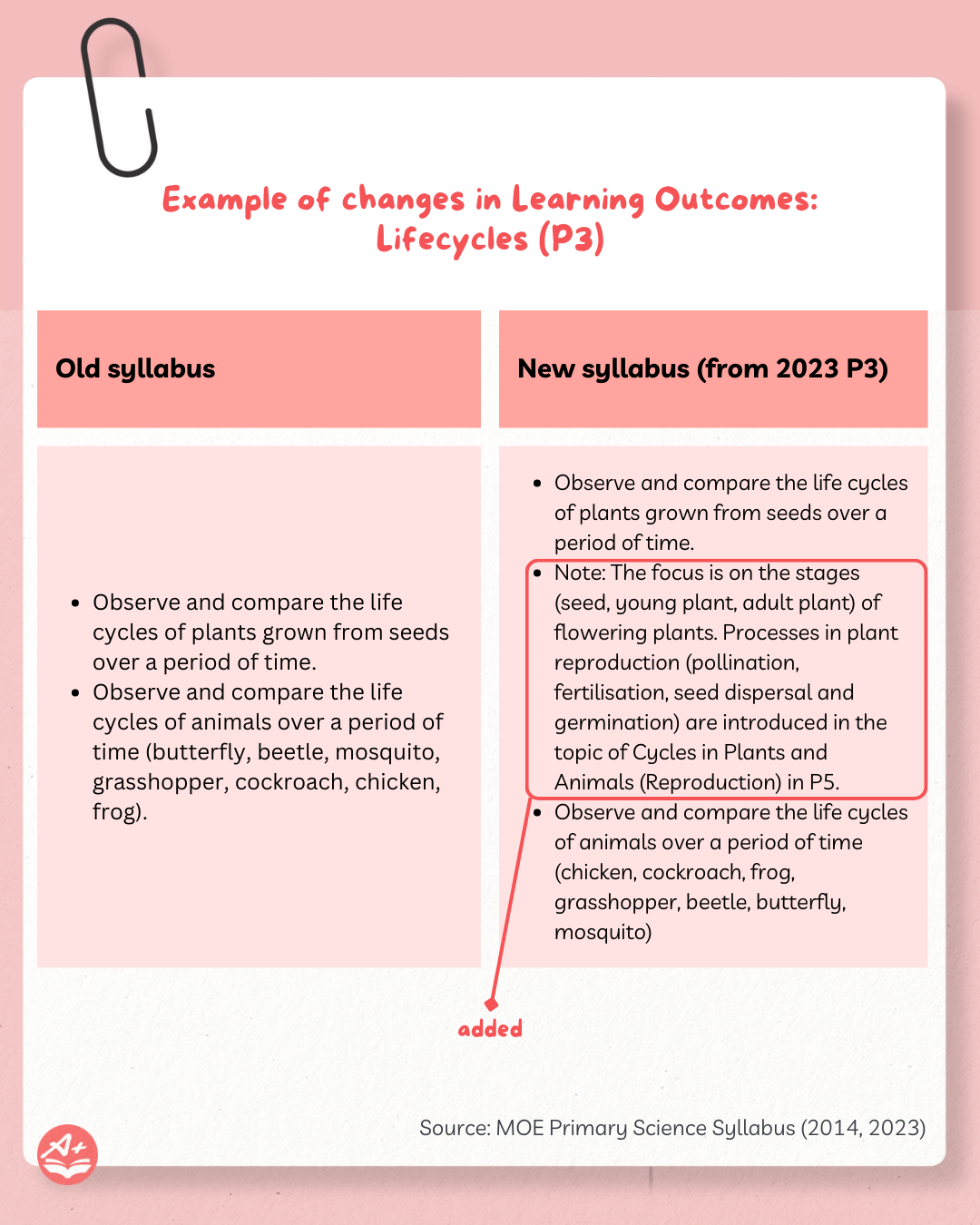 PSLE Science Syllabus: Updates and Changes From 2026 9