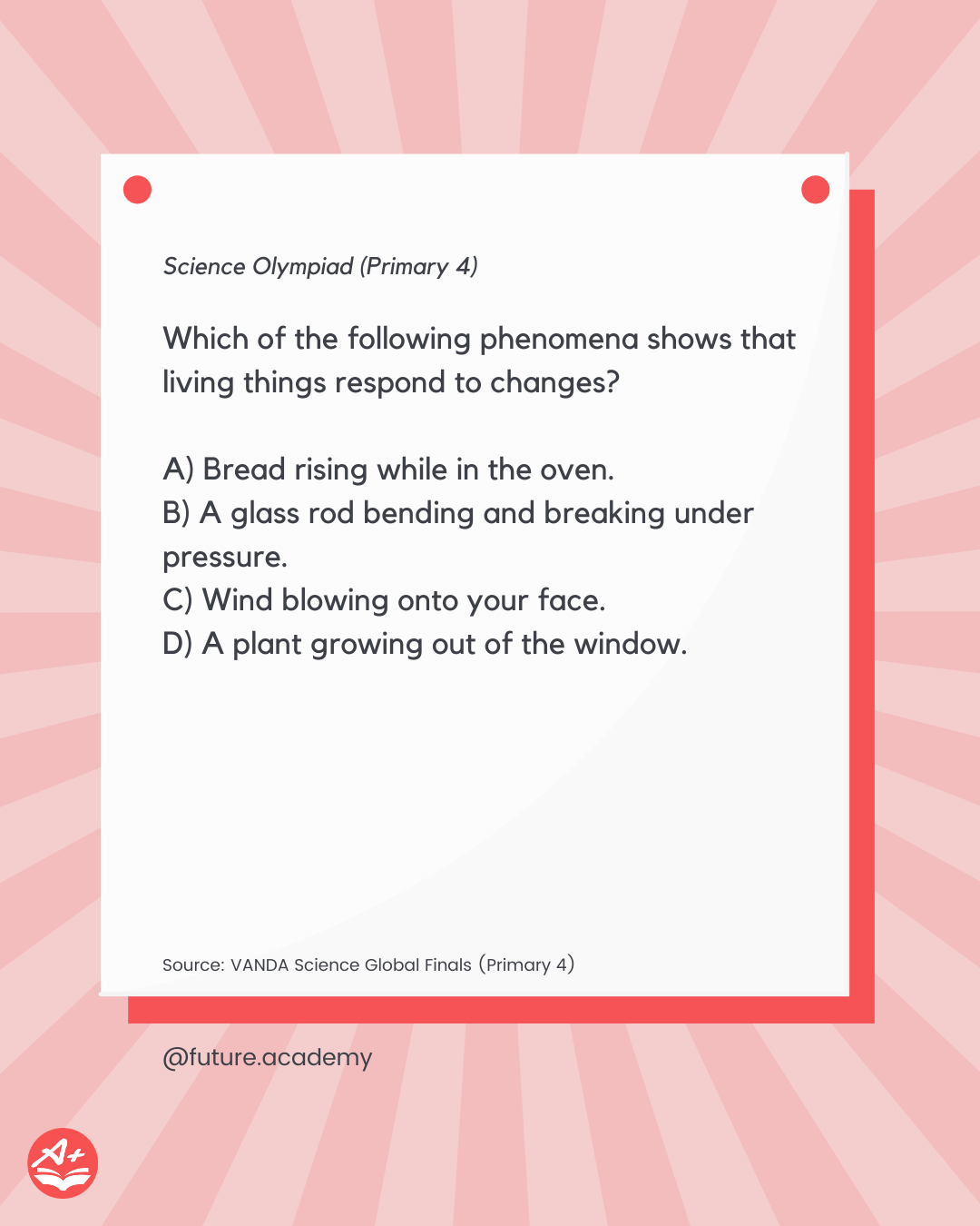 Science Olympiad For Primary School Students: What Is It? 8